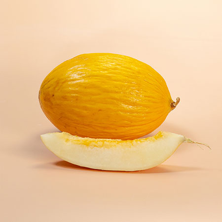 Il melone Gialletto